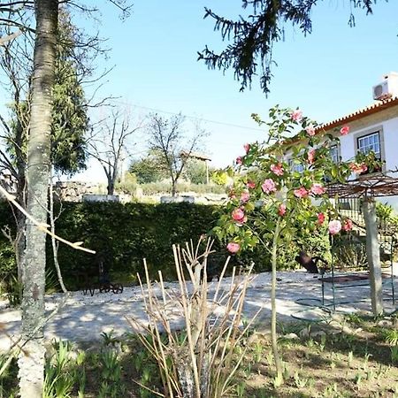 Quinta de Vila Verde- Paixão Ancestral, Turismo Rural Marco de Canavezes Exterior foto